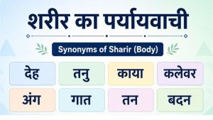 Sharir Ka Paryayvachi: 12 शब्द जो आपको जरूर जानने चाहिए 